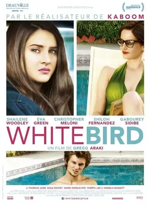 暴风雪中的白鸟 海报