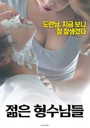 年轻的嫂子们 海报