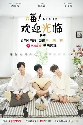 喵欢迎光临 海报