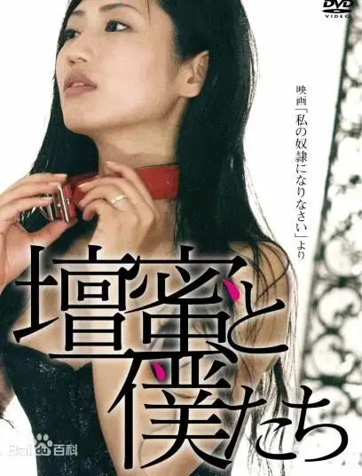 做我的奴隶 海报