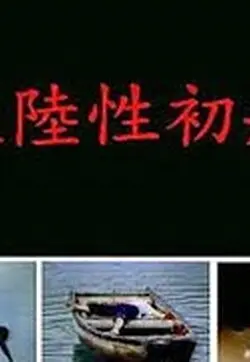 大陆性初航 海报