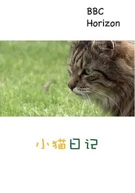 《地平线系列：小猫日记》：萌化你的心！一部关于生命、爱与失去的纪录片