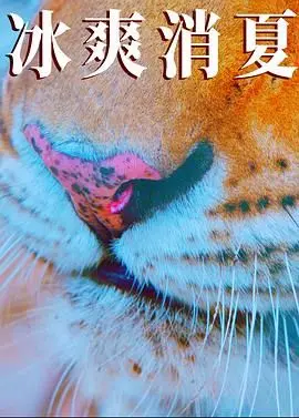 《寒冰白血》：一场关于生存、救赎与人性的冰雪奇缘，女逃犯的绝境求生与青年奋斗之路